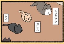 【円卓の騎士なねこ】誰もが夢中！ アーサー王のもとに集う円卓のにゃんこたち