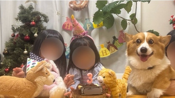 祝いの席で最高の表情を見せるラッキーちゃん▶この表情、とっても人気なんです（⇒次へ）