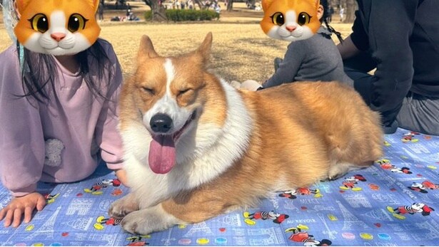 ピクニックで幸せそうな表情をするラッキーちゃん▶くっついて、全員が嬉しい関係（⇒次へ）