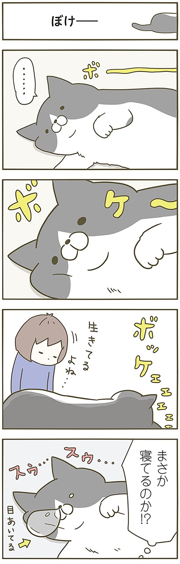 ぼけーーー