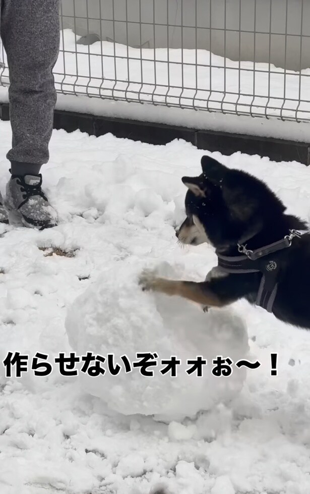 「作らせないぞぉ〜！」▶ふと手を止め…（⇒次へ）