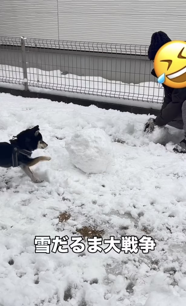 駆け寄ってくる千幸ちゃん（⇒次へ）