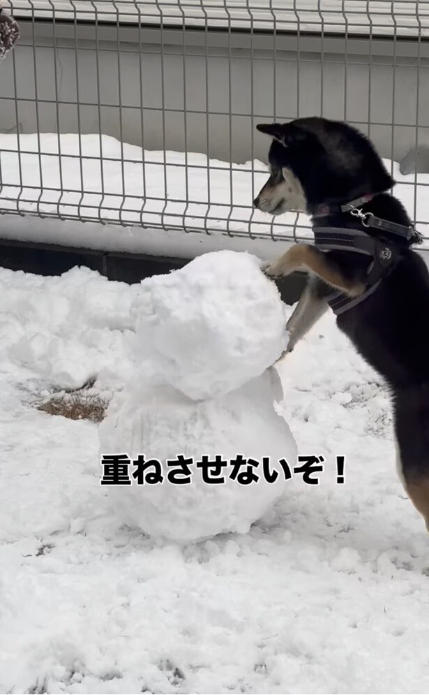 「重ねさせないぞ！」▶頭をポトンと落とし…（⇒次へ）