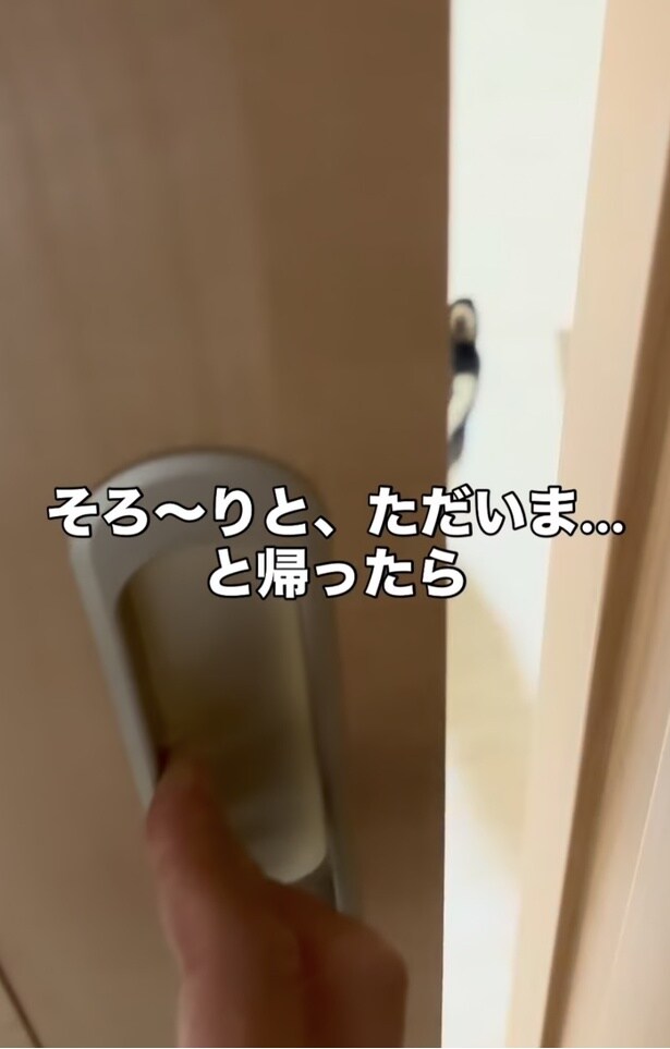 そーっと開ける▶チラッと見えてる…（⇒次へ）