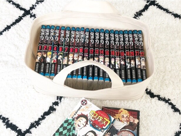 マンガの量が少なかった頃の収納