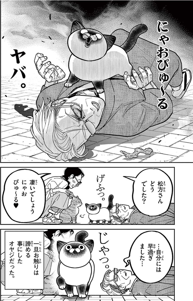 にゃおぴゅ～るヤバ