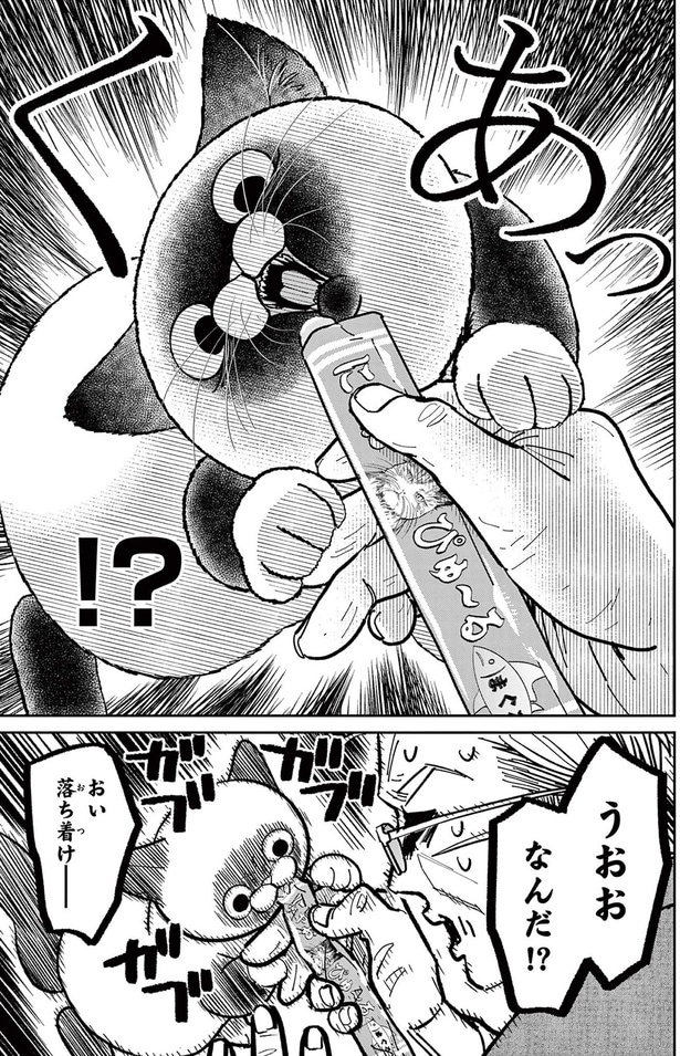 うおお、なんだ！？おい落ち着け