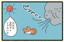 【北風と太陽とねこ】「全然ダメじゃないか」北風を笑うが、太陽もうまくいかず？