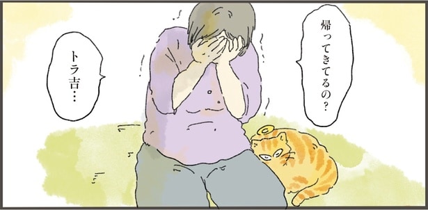 帰ってきてるの？トラ吉…