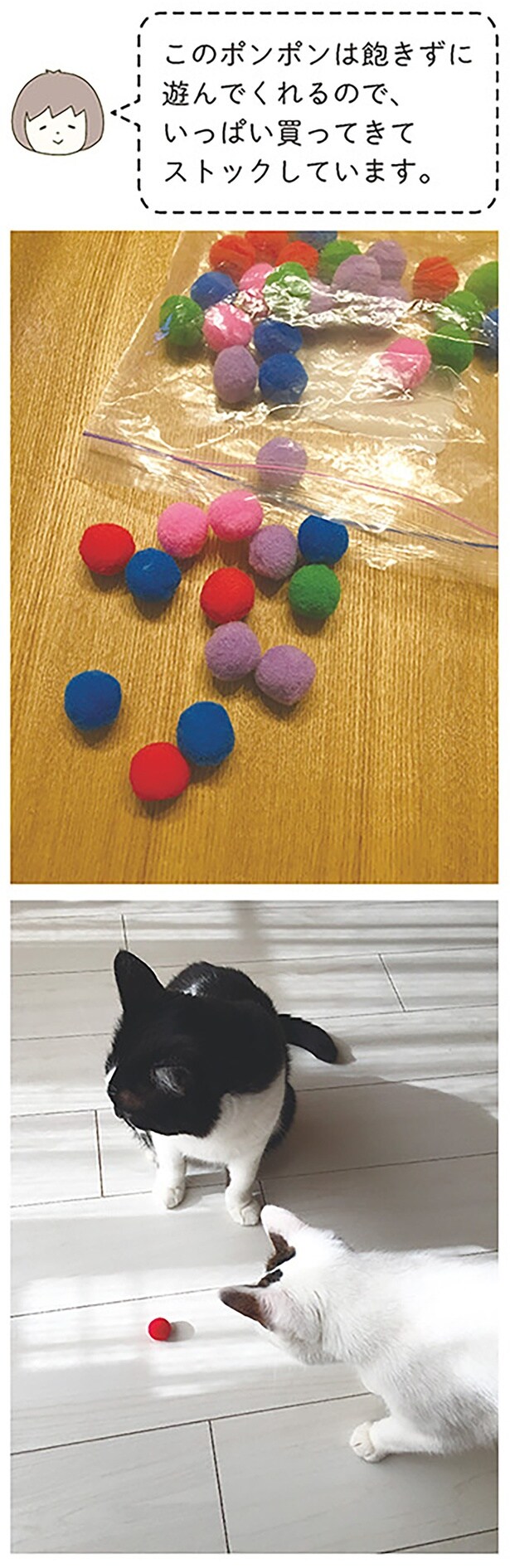 いっぱい買ってきてストックしています。