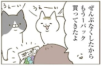 猫がよく遊ぶ手芸用のポンポン。なくしがちなのでもう1パック追加すると