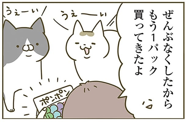 猫がよく遊ぶ手芸用のポンポン。なくしがちなのでもう1パック追加すると