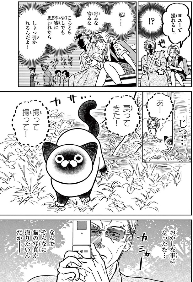 ヨユーで撮れるし