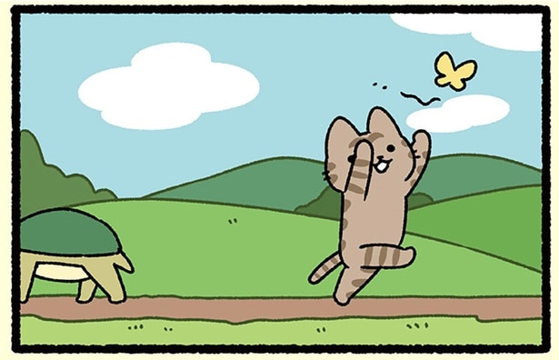 猫が夢中なのは…