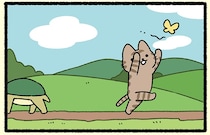 【うさぎとカメとねこ】競争とは一体？ スタートしても自由すぎるねこ
