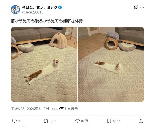 前から見ても後ろから見ても難解な体勢▶後ろから見ると…（⇒次へ）