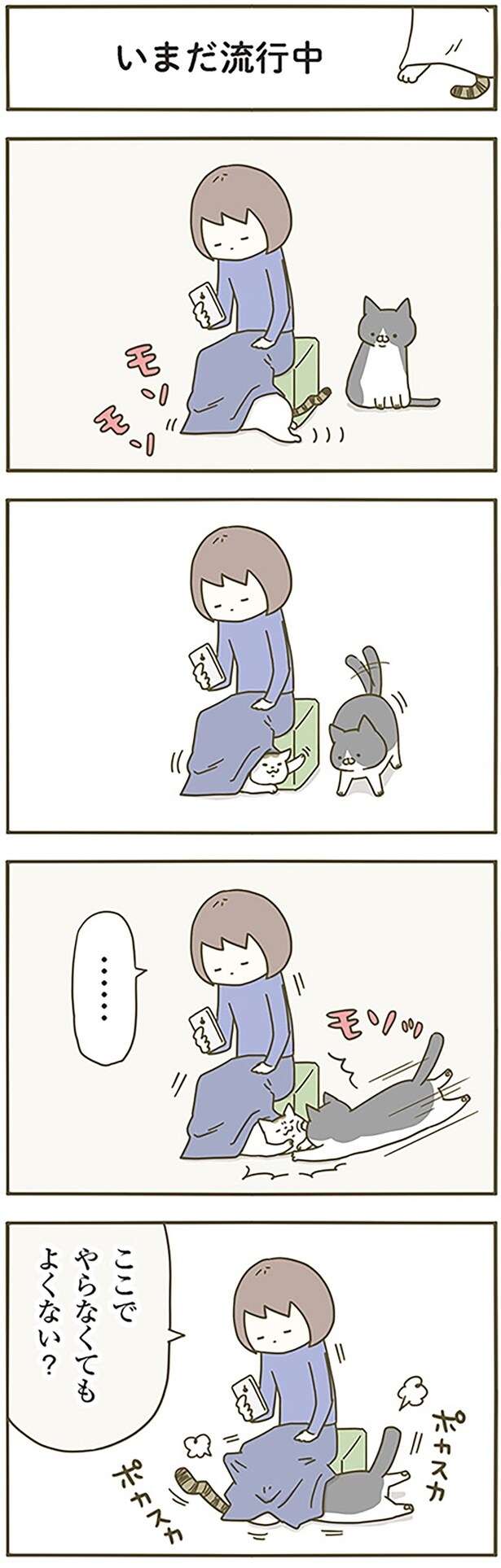 いまだ流行中