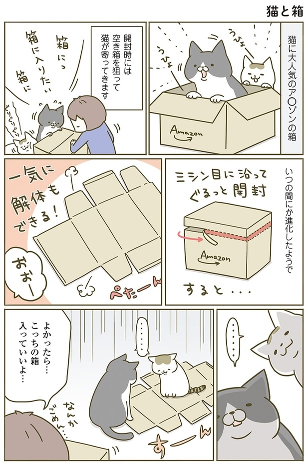 猫に大人気の箱