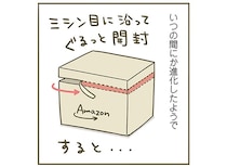 うちの猫に大人気な通販のダンボール。いつの間にか形状が進化していたようで？