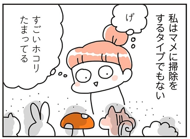 私はマメに掃除をするタイプでもない