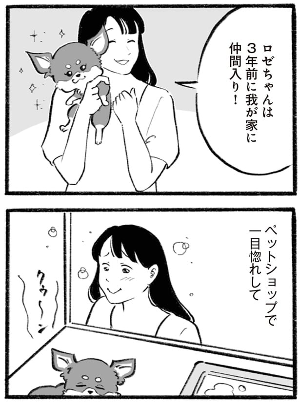 ペットショップで一目惚れして
