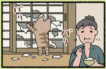 【カチカチ山とバリバリ山】言い訳が通り過ぎ！ 妙な音も誤魔化せちゃうなんて