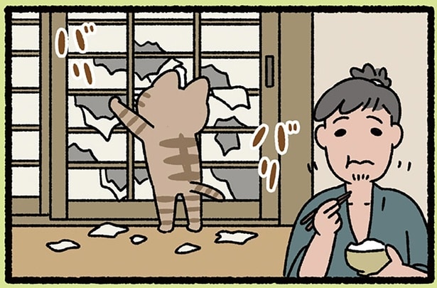 【カチカチ山とバリバリ山】言い訳が通り過ぎ！ 妙な音も誤魔化せちゃうなんて