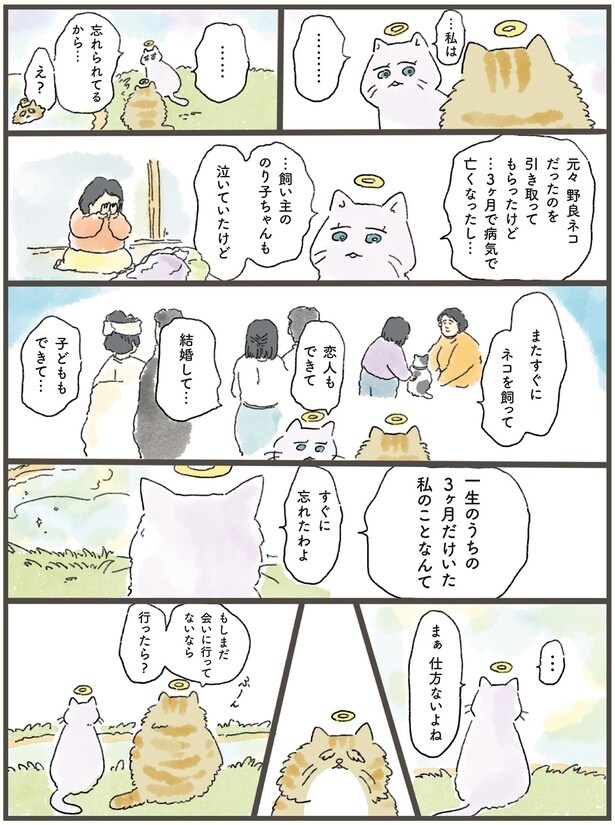 忘れられてるから…