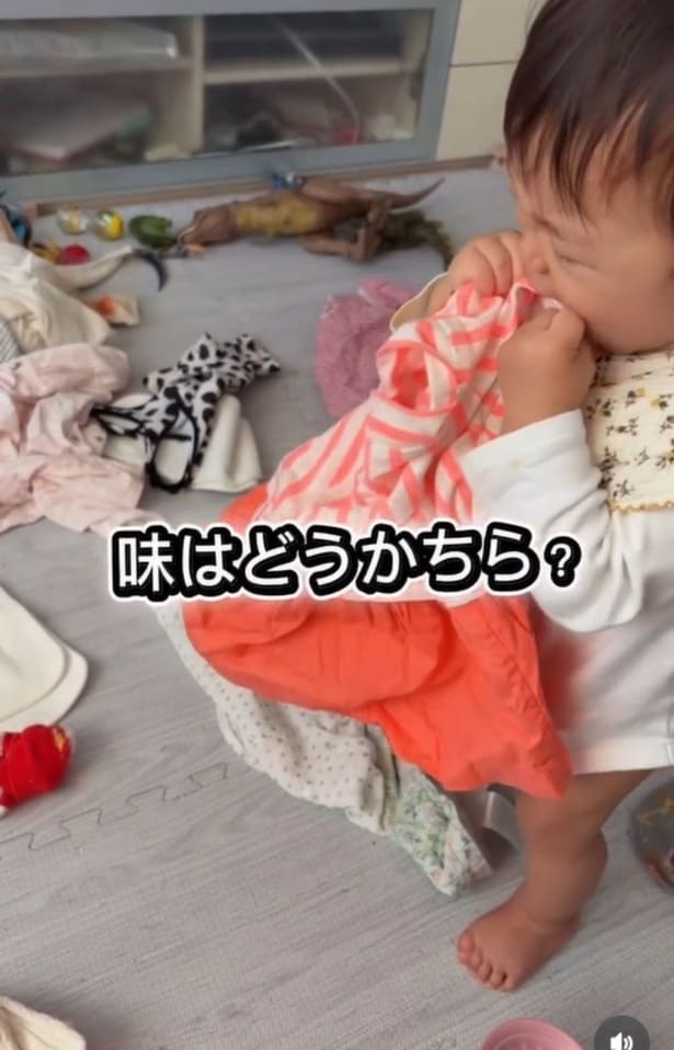 まずはお味見▶次の服は…(⇒次へ)