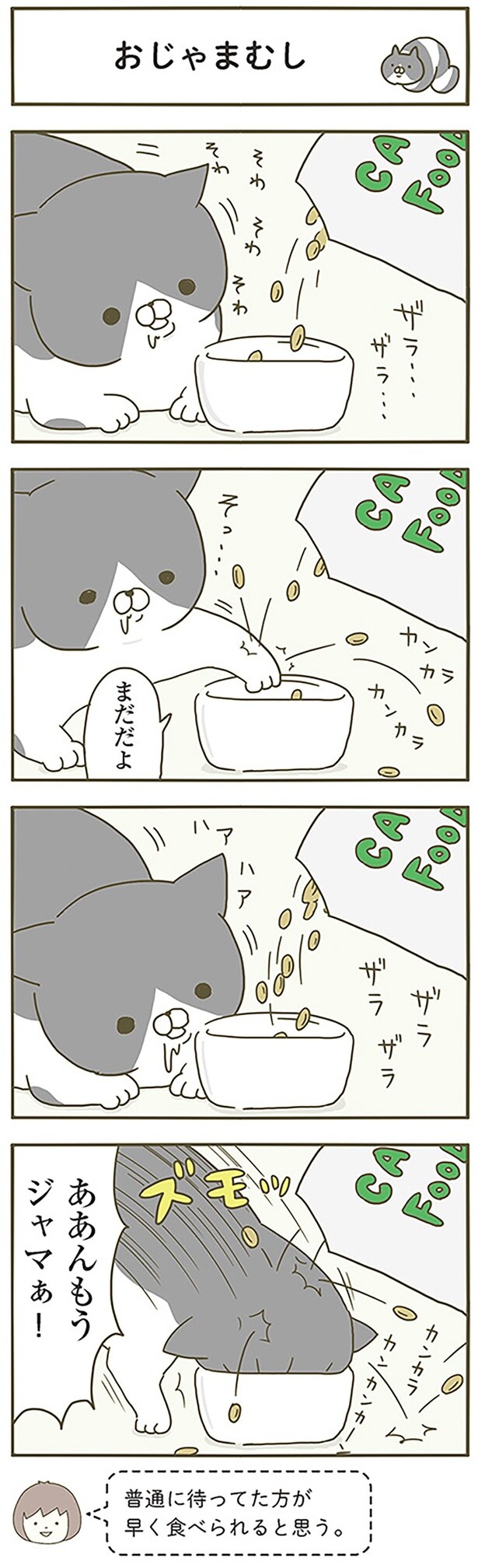 おじゃまむし