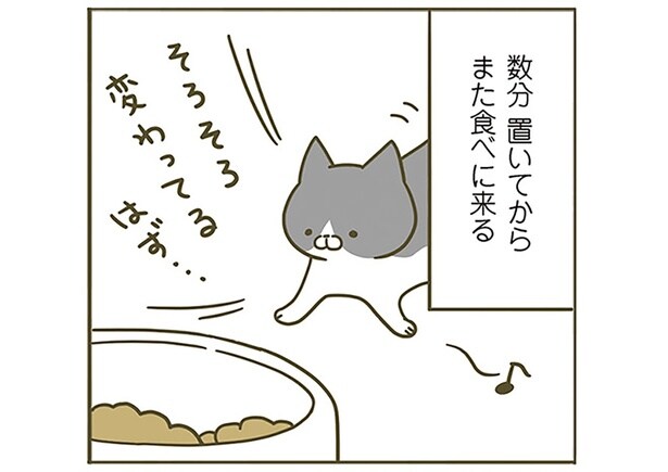 そろそろ変わってるはず…