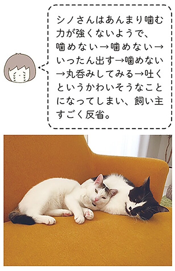 飼い主すごく反省