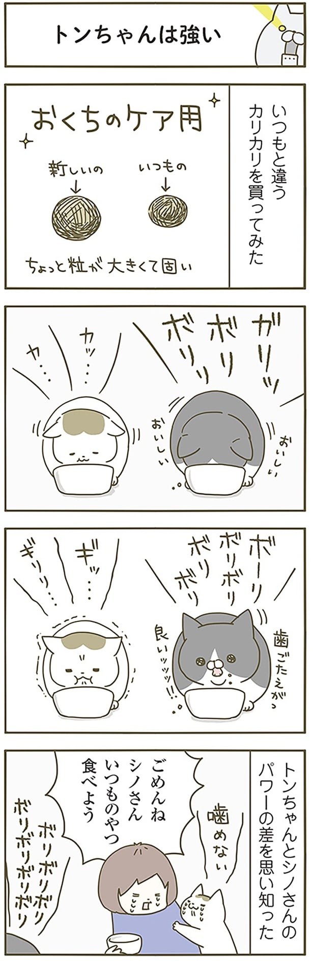 トンちゃんは強い