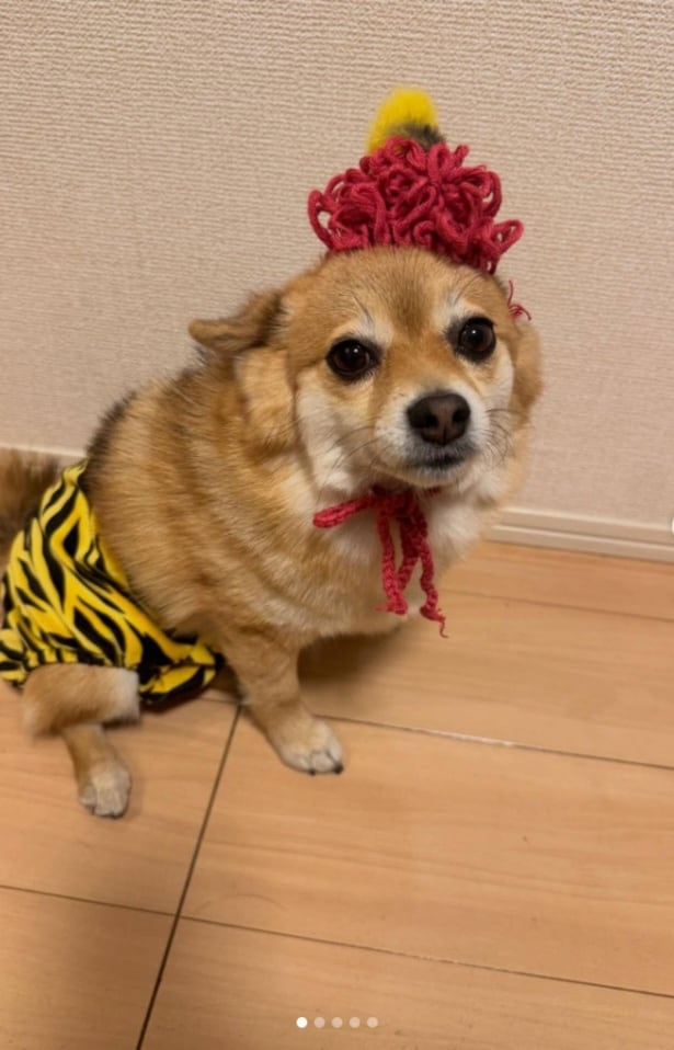 鬼のコスチュームがお似合い▶お散歩タイムでは…(⇒次へ)