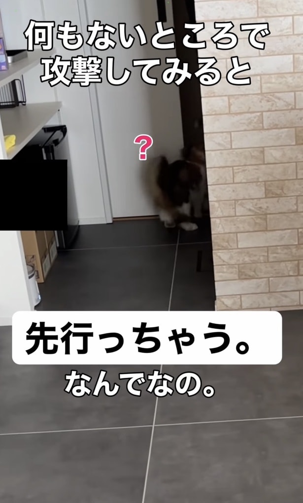 お姉ちゃんを通過してしまった▶お姉ちゃん愛が強すぎて（⇒次へ）