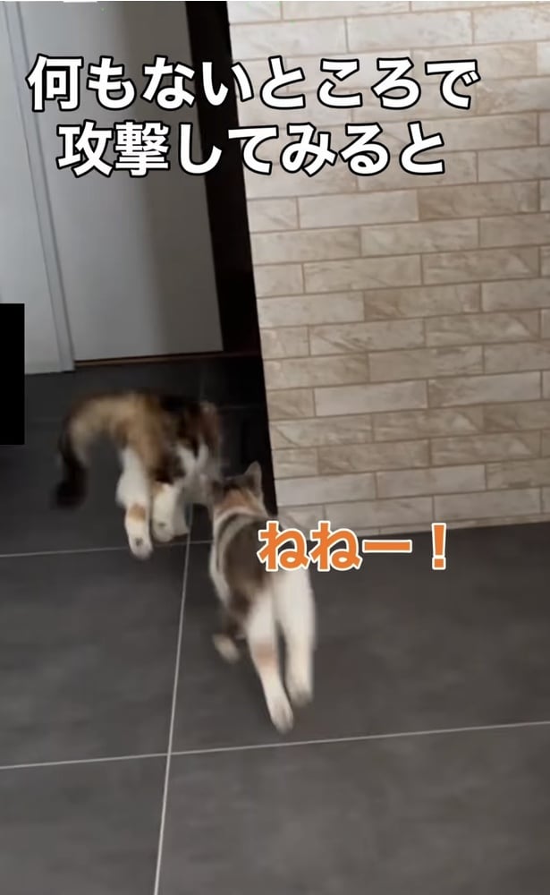 後ろから飛び掛かろうとする▶勢い余って…（⇒次へ）