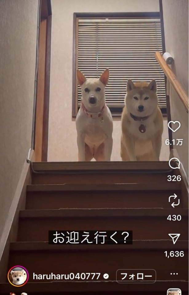 「パパのお迎え行く？」と聞いてみる（⇒次へ）