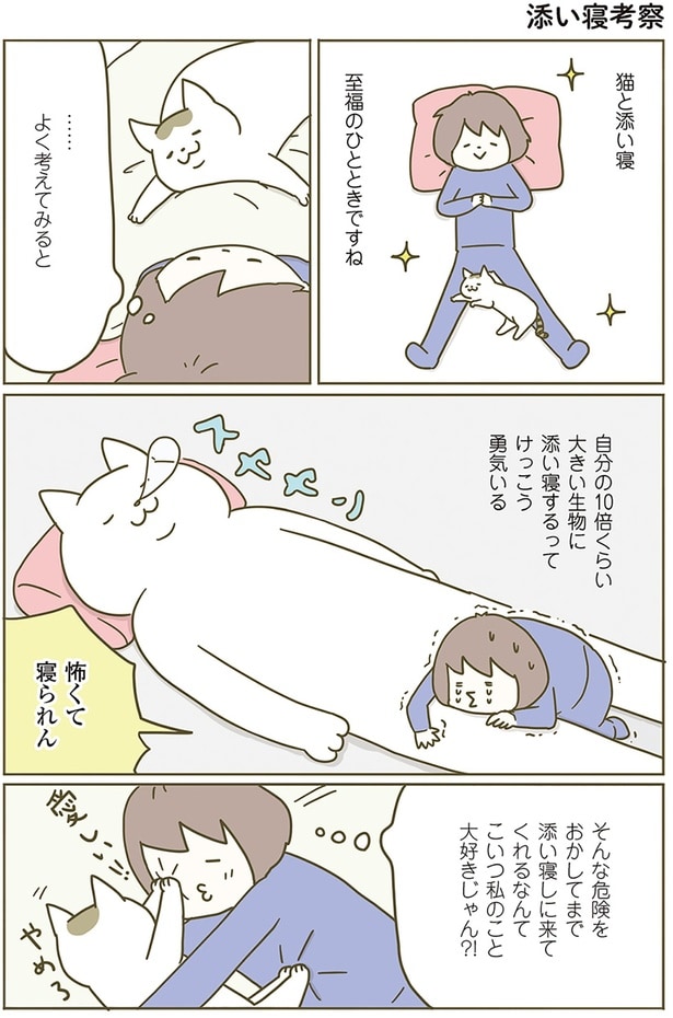 こいつ私のこと大好きじゃん？！