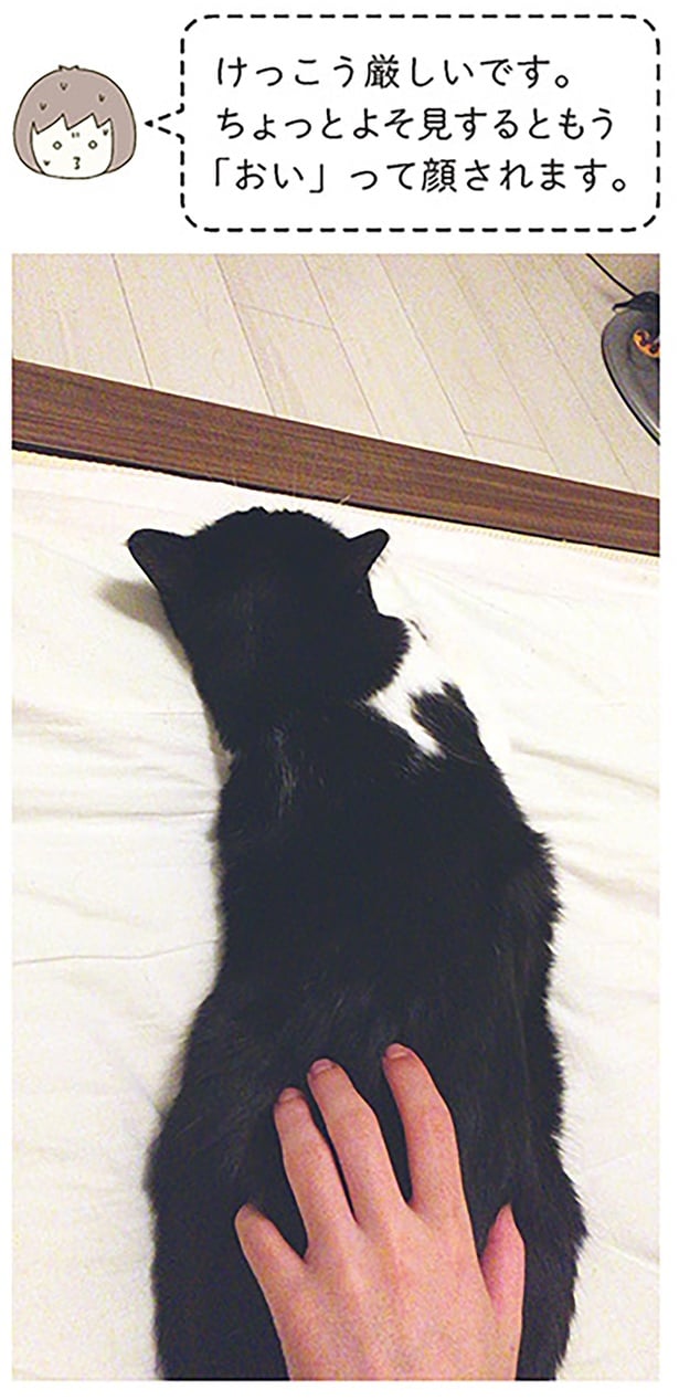 けっこう厳しいです