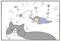 遊ぼう！ ほら！ ねえ！ ある夏の日、テンション高めに猫にかまったときのこと