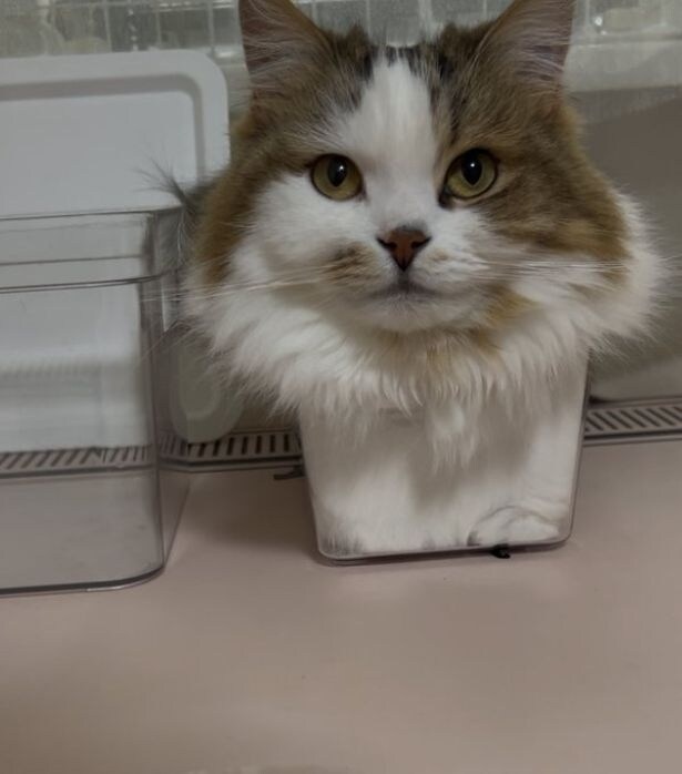 縮尺がおかしい！？▶お気に入りの場所（⇒次へ）