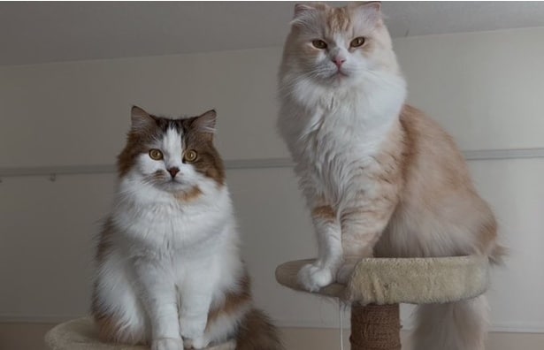 カメラ目線もばっちりですね！▶見返り美人（⇒次へ）