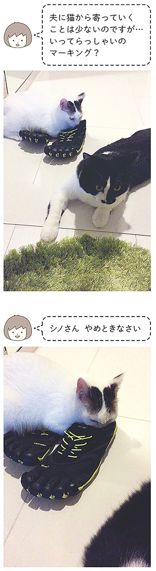 いってらっしゃいのマーキング？