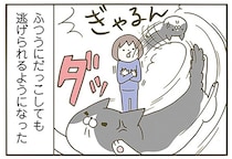 超理不尽！ 目薬や爪切り、猫が嫌がることを担当しているせいで起こった出来事