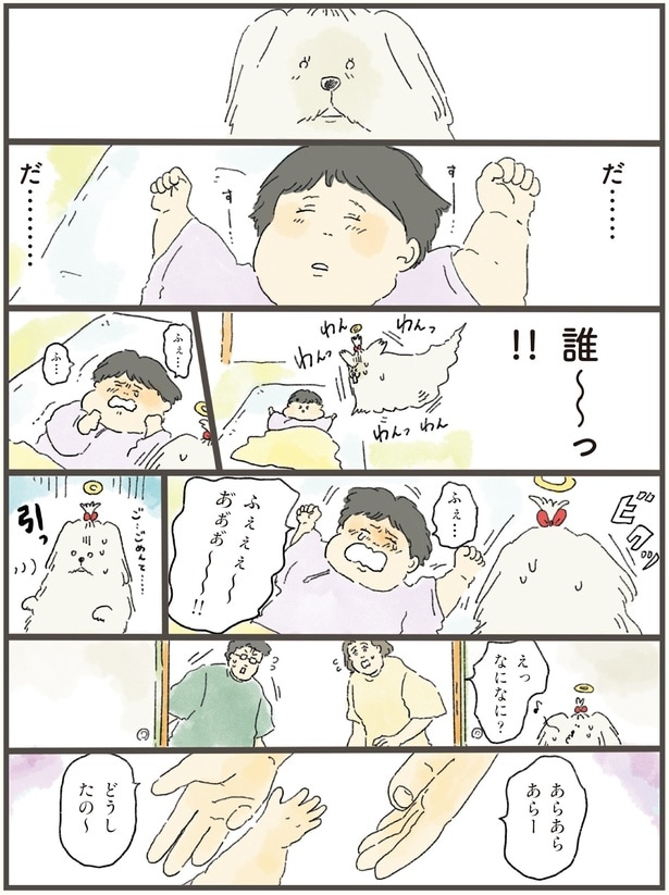 えっなになに？