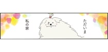 ただいま、私の家。天国から戻ったペットが見つめた、飼い主の新しい日常