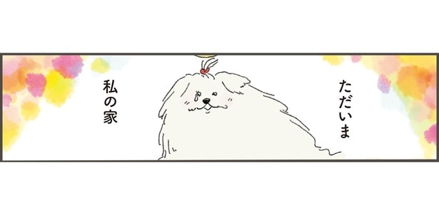 ただいま、私の家。天国から戻ったペットが見つめた、飼い主の新しい日常