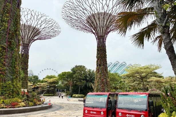 目の前に現れる巨大な人工ツリー「スーパーツリー・グローブ」