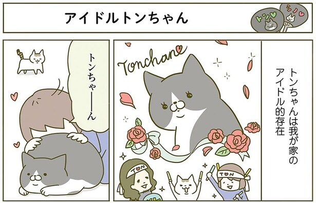 アイドルトンちゃん