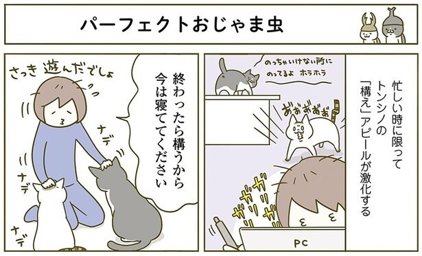 パーフェクトおじゃま虫
